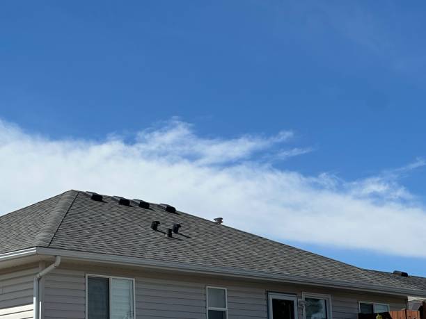 Best Rubber Roofing (EPDM, TPO)  in Prieton, NC